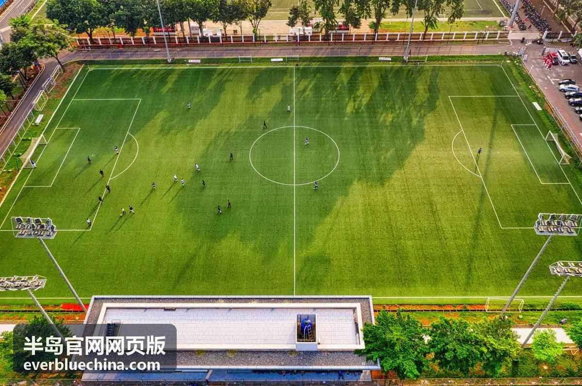 半岛官网网页版在线开通流程